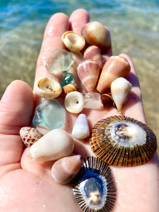 Create your own bangle with your own seaglass or shell